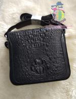 ������� �о�ª��BS914 ˹ѧ��ѧ