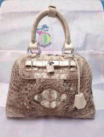 ������� �����Ҷ�� �о��˭ԧBN510 ˹ѧ��ѧ