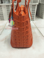 ������� �����Ҷ�� �о��˭ԧBN579 ˹ѧ��ѧ