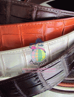 ������� ����Ѵ 1.5 ���� ���º��