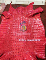 �������  ��˹ѧ�� �͡��