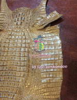 �������  ��˹ѧ�� �͡��