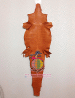 �������  ��˹ѧ�� �͡��