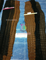 �������  ��˹ѧ�� �͡��