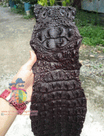 �������  ��˹ѧ�� �͡��