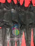 �������  ��˹ѧ�� �͡��