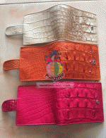 Ẻ������ʵҧ������ ������ҧ���������