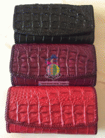 ������� 3�Ѻ ��д١��ͧ�ѡ