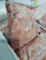 �������  ���ͨ����ʴ���� �������