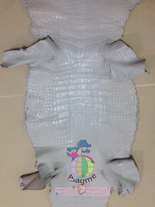 �ٻ�Ҿ���2 �ͧ�Թ��� : �������  ��˹ѧ�� �͡��