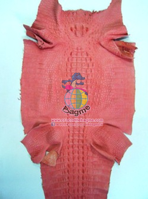 �ٻ�Ҿ���2 �ͧ�Թ��� : �������  ��˹ѧ�� �͡��