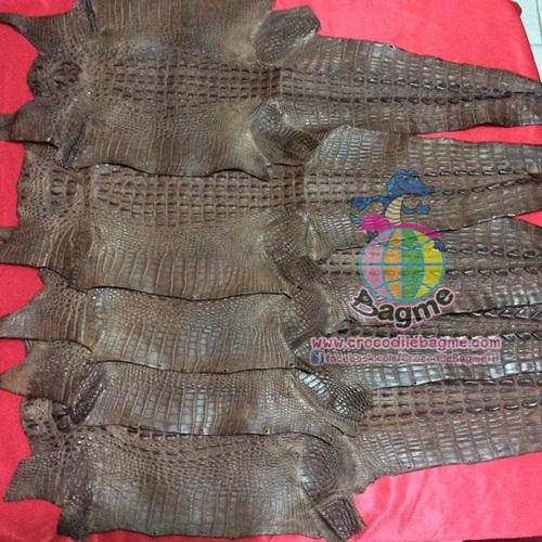 �ٻ�Ҿ���2 �ͧ�Թ��� : �������  ��˹ѧ�� �͡��