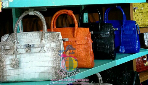 �ٻ�Ҿ���2 �ͧ�Թ��� : ������� �����Ҷ�� �о��˭ԧBN541 ˹ѧ��ͧ