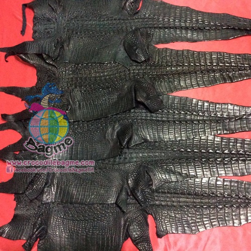 �ٻ�Ҿ���2 �ͧ�Թ��� : �������  ��˹ѧ�� �͡��