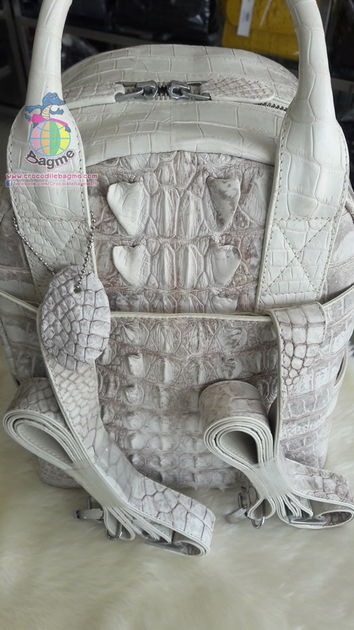 �ٻ�Ҿ���2 �ͧ�Թ��� : ������� �������� BT9112 ���