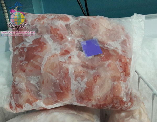 รูปภาพที่#2 ของสินค้า : พร้อมส่ง เนื้อจระเข้สดแช่แข็ง (เนื้อส่วนลำตัว) รูปภาพที่2 ของสินค้า : พร้อมส่ง เนื้อจระเข้สดแช่แข็ง (เนื้อส่วนลำตัว)