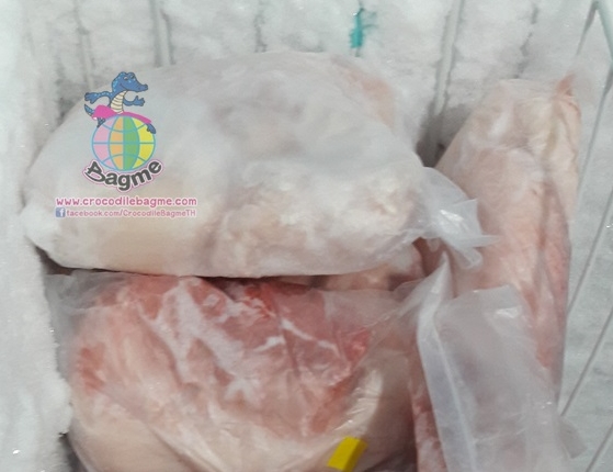 �ٻ�Ҿ���2 �ͧ�Թ��� : �������  ���ͨ����ʴ���� (��ͧ�ѹ)