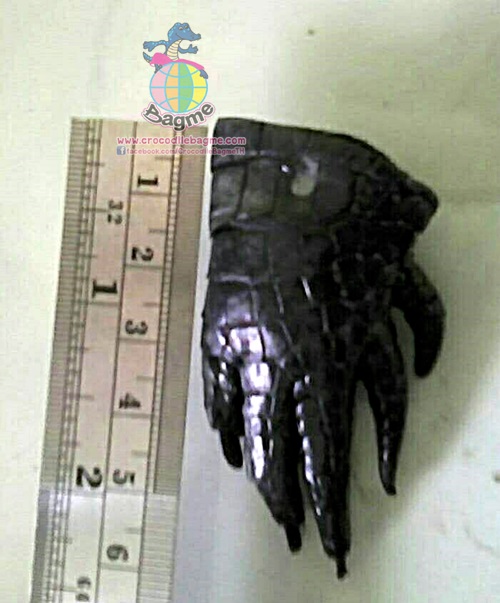 รูปภาพที่#2 ของสินค้า : พร้อมส่ง พวงกุญแจขาจระเข้ขาหน้า เล็ก360 รูปภาพที่2 ของสินค้า : พร้อมส่ง พวงกุญแจขาจระเข้ขาหน้า เล็ก360