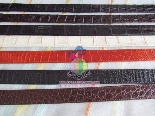 �ٻ�Ҿ���3 �ͧ�Թ��� : ������� ����Ѵ 1.3 ���� ���º��ͧ