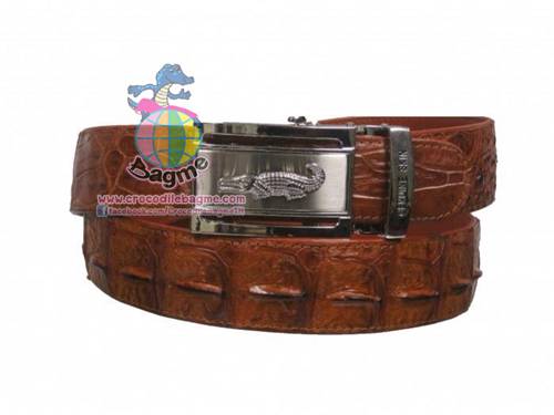 �ٻ�Ҿ���3 �ͧ�Թ��� : ������� ����Ѵ 1.5 ���� ��д١