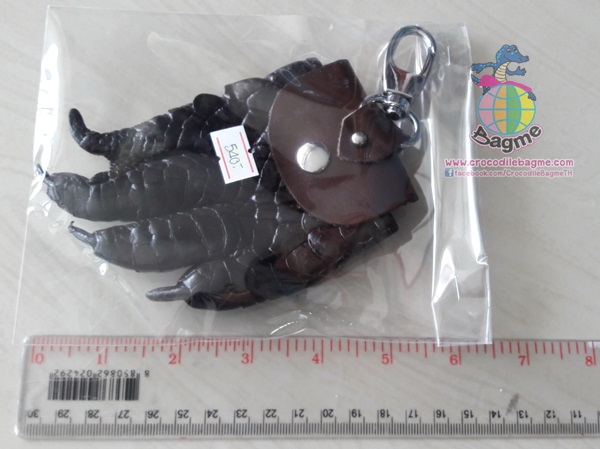 �ٻ�Ҿ���3 �ͧ�Թ��� : ������� �ǧ�حᨢҨ���� 4 ���Ǣ���ѧ �˭��ش�������­