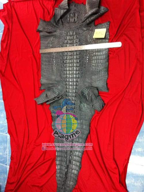 �ٻ�Ҿ���3 �ͧ�Թ��� : �������  ��˹ѧ�� �͡��