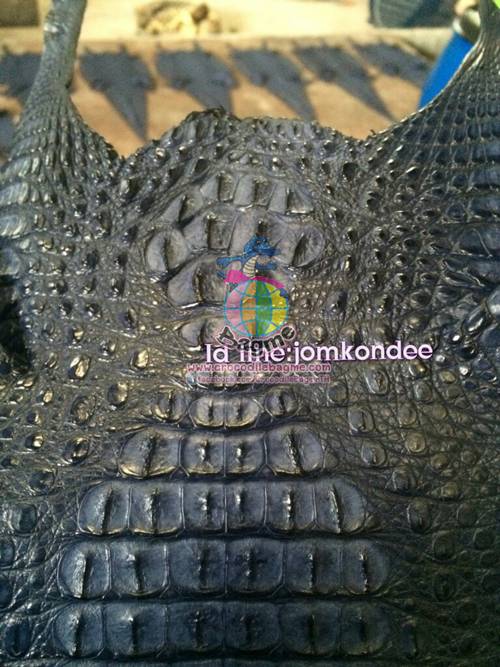 �ٻ�Ҿ���3 �ͧ�Թ��� : �������  ��˹ѧ�� �͡��