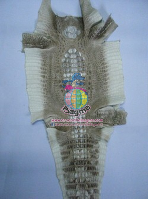 �ٻ�Ҿ���3 �ͧ�Թ��� : �������  ��˹ѧ�� �͡��