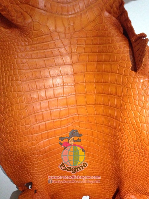 �ٻ�Ҿ���3 �ͧ�Թ��� : �������  ��˹ѧ�� �͡��