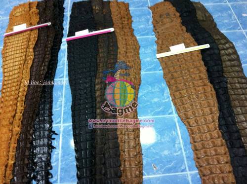 �ٻ�Ҿ���3 �ͧ�Թ��� : �������  ��˹ѧ�� �͡��