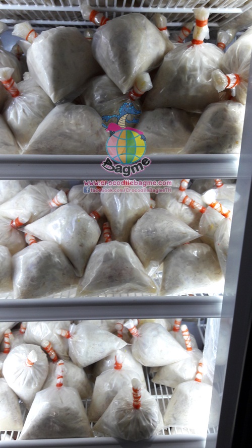 �ٻ�Ҿ���3 �ͧ�Թ��� : �������  ���ͨ������� ���ç