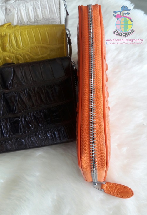 �ٻ�Ҿ���3 �ͧ�Թ��� : ������� �Ի������ͺ ��ҧ�ҧ