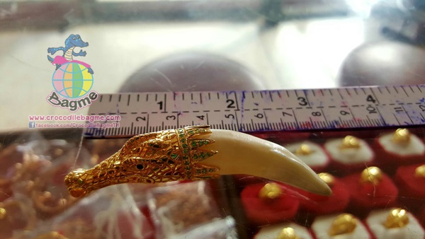 �ٻ�Ҿ���3 �ͧ�Թ��� : �������  ����Ǩ�����������ͧ (������͹�Թ �غ�ͧ������)